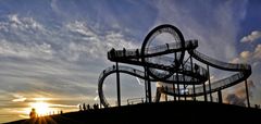 Tiger and Turtle