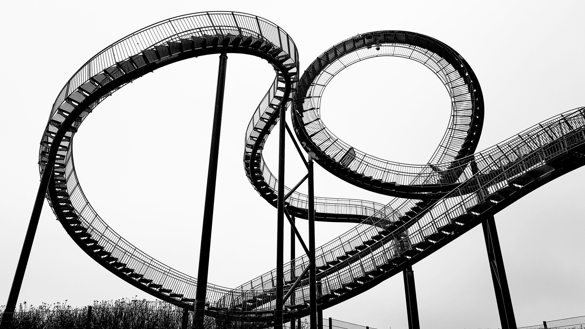 Tiger and Turtle