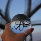 Tiger and Turtle