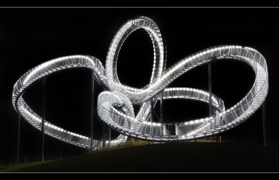 Tiger and Turtle