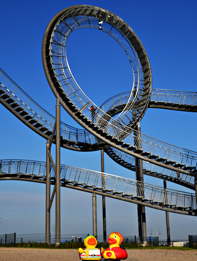 Tiger and Turtle...!!