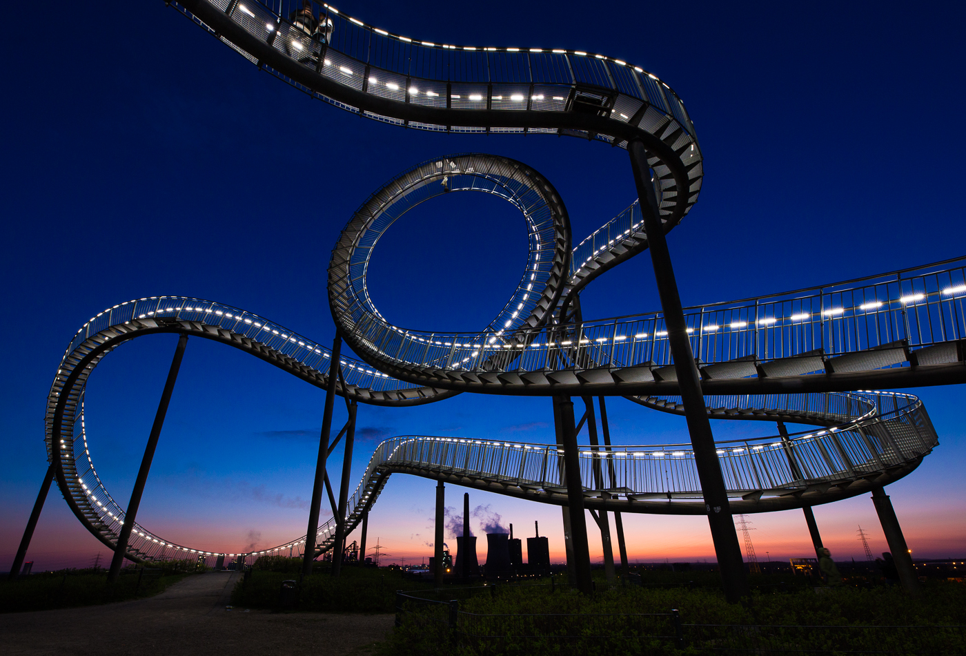 tiger and turtle ...