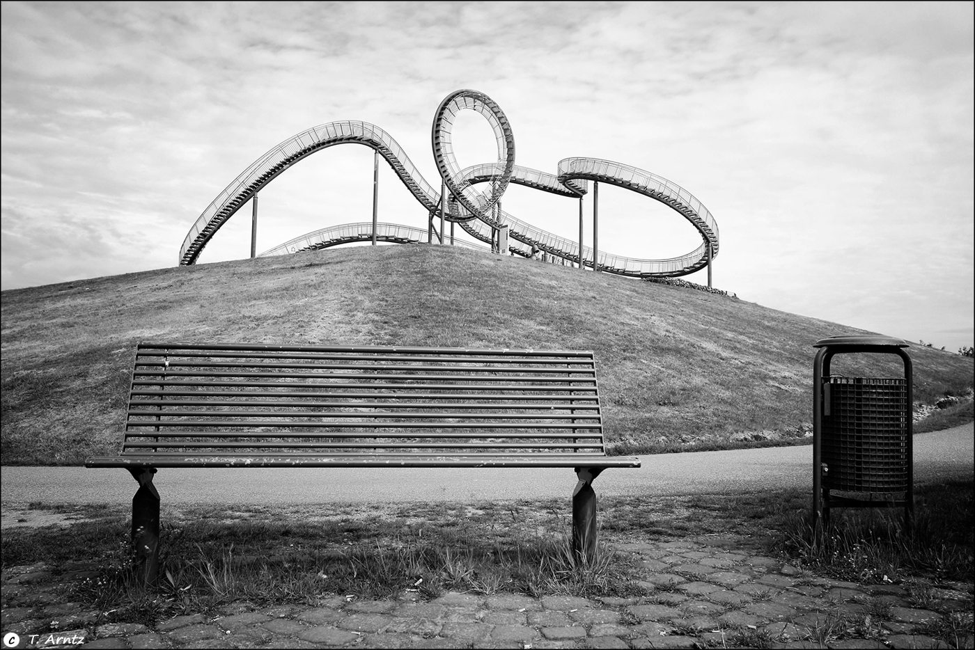 tiger and turtle 