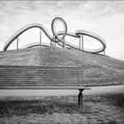 tiger and turtle 