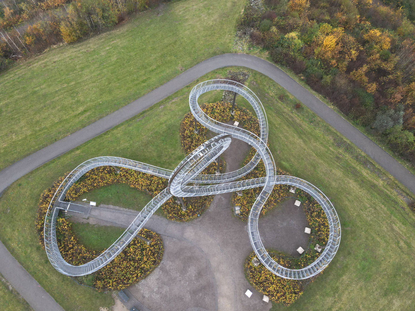 Tiger and Turtle