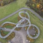 Tiger and Turtle