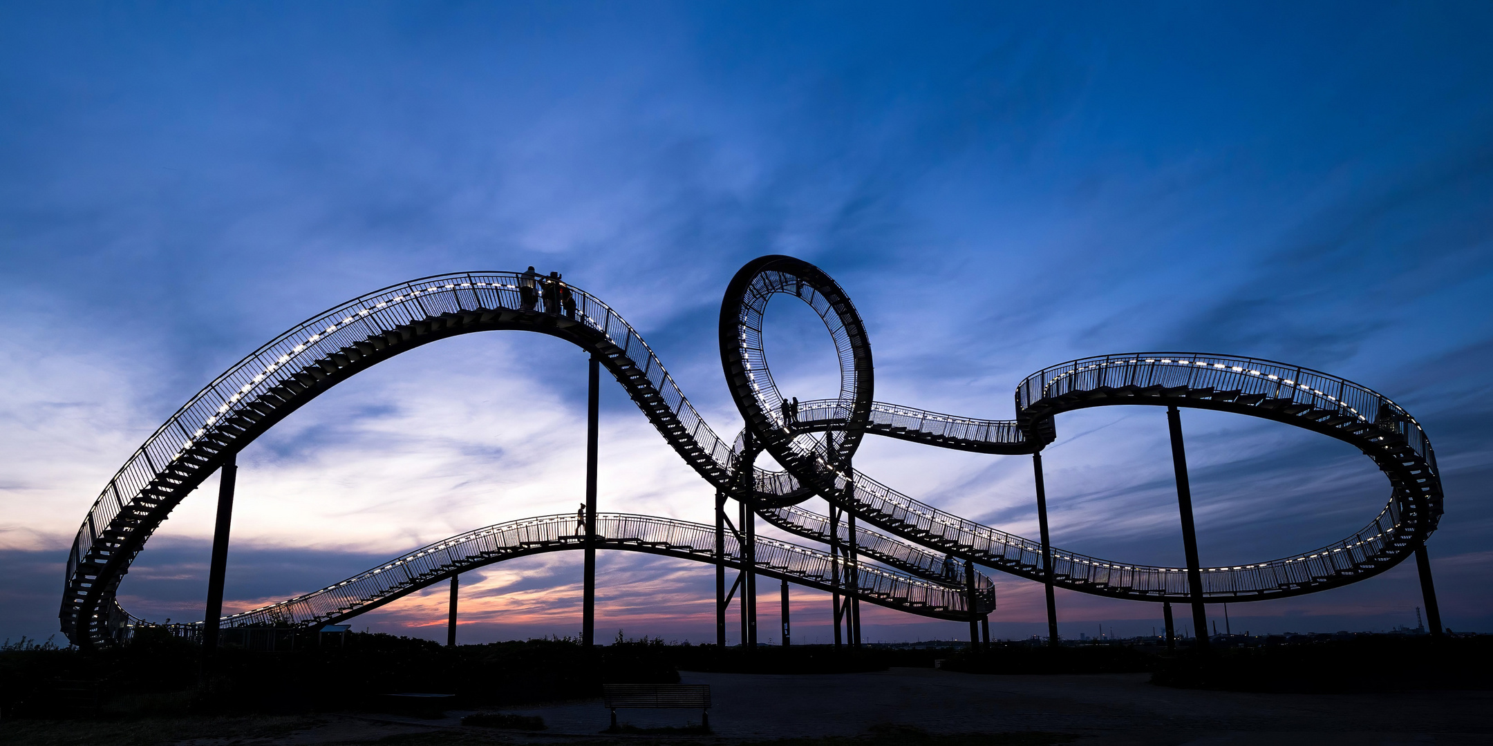 Tiger and Turtle