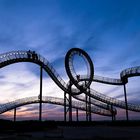 Tiger and Turtle