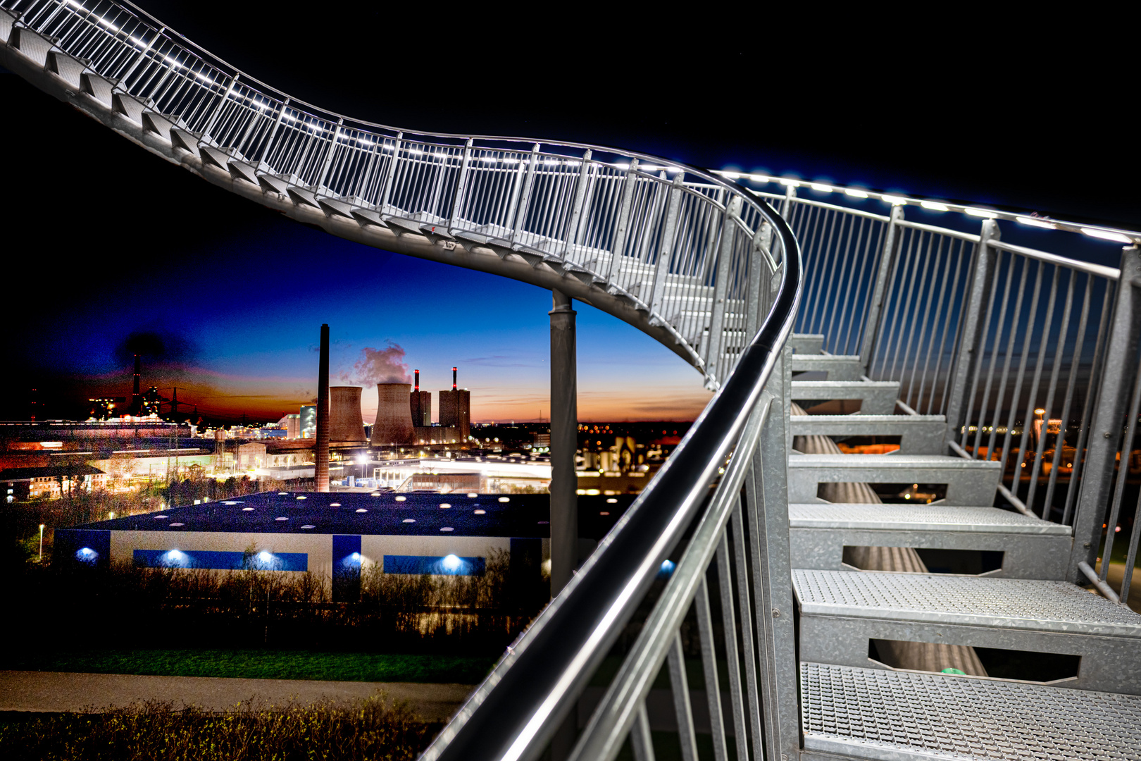 Tiger and Turtle