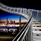 Tiger and Turtle