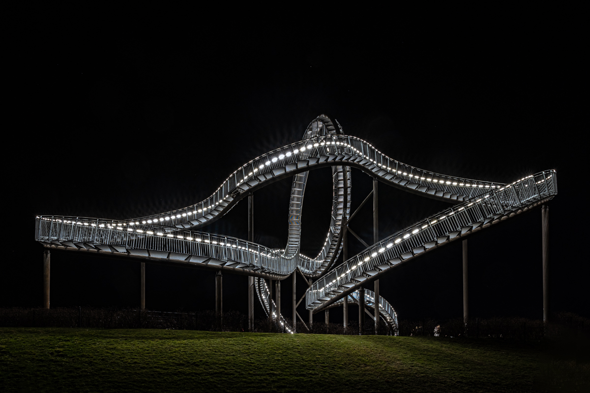 Tiger and Turtle 1