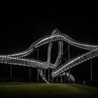 Tiger and Turtle 1
