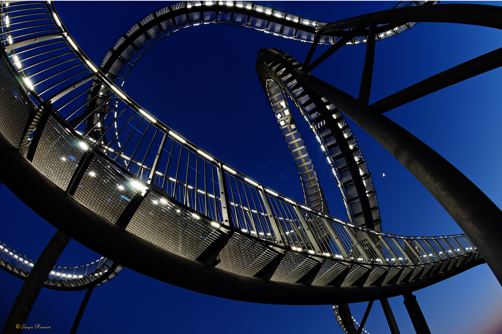 Tiger and Turtle 1