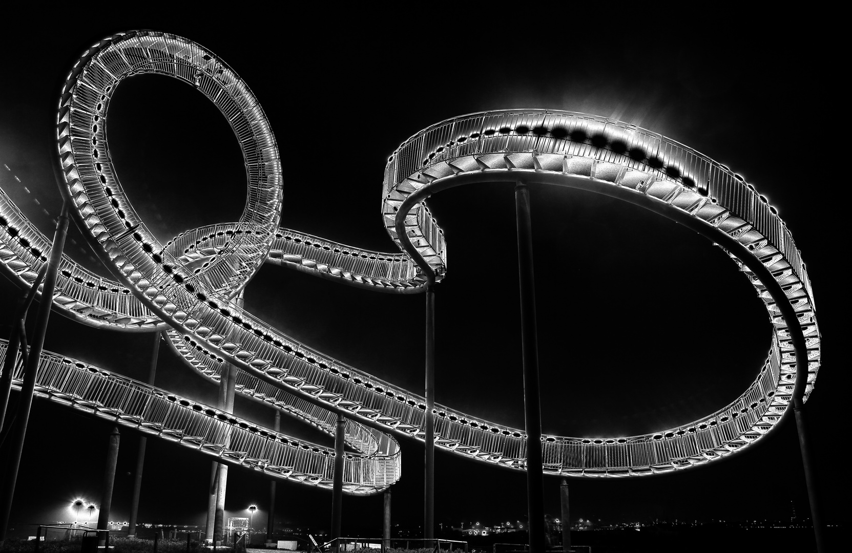 Tiger and Turtle 1