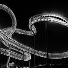 Tiger and Turtle 1