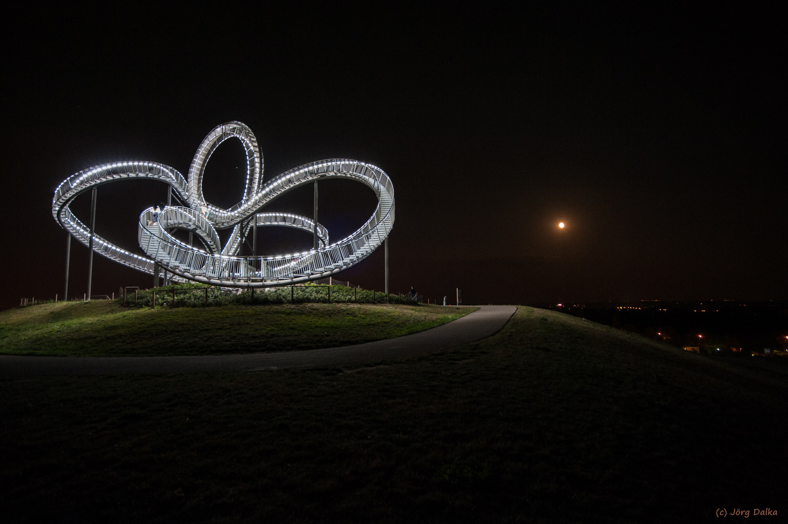 Tiger and Turtle (1)