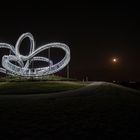 Tiger and Turtle (1)