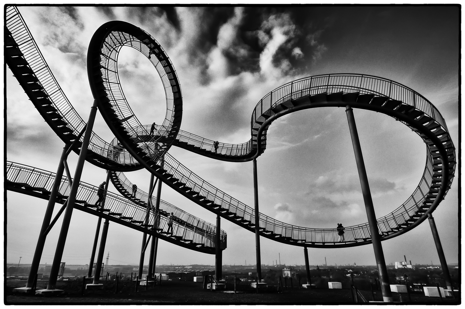 Tiger and Turtle 1