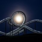 Tiger and Turtle 1