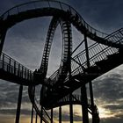 Tiger and Turtle 1