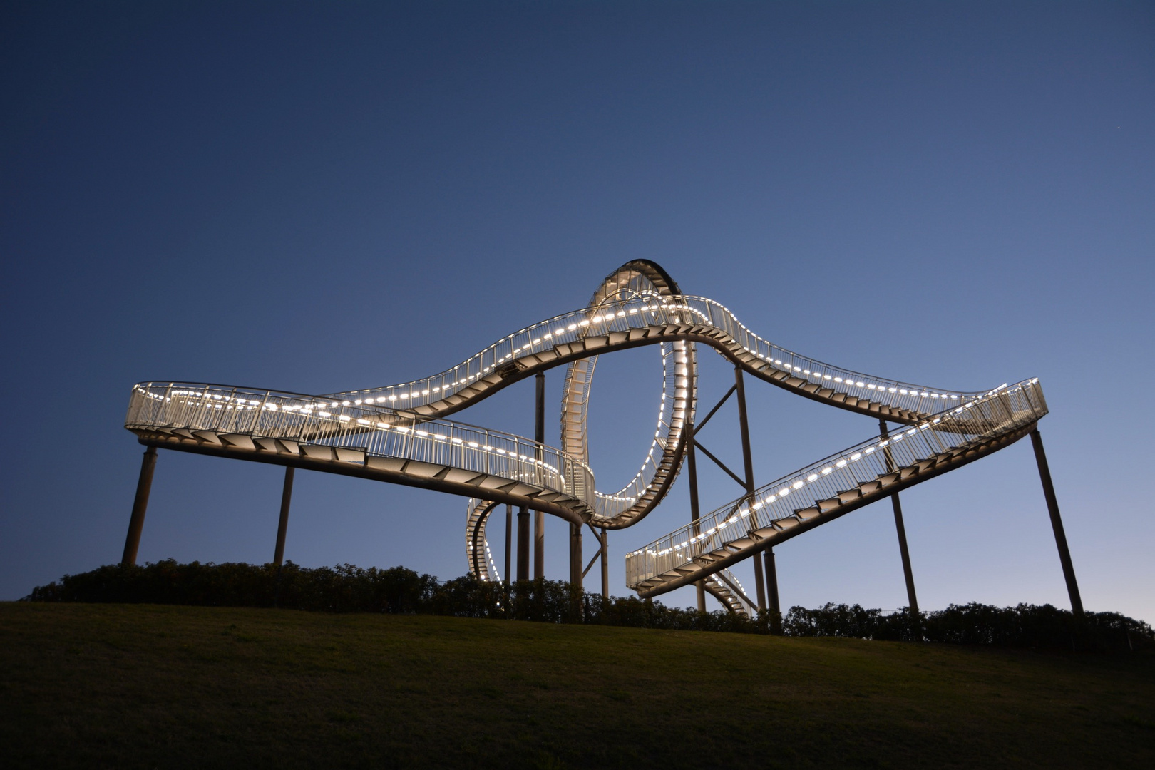 tiger and turtle 1