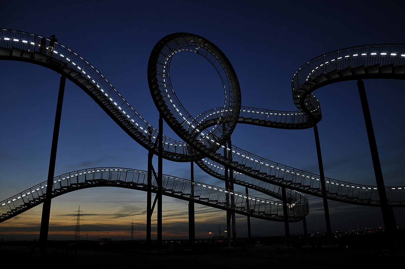 Tiger and Turtle