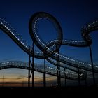 Tiger and Turtle