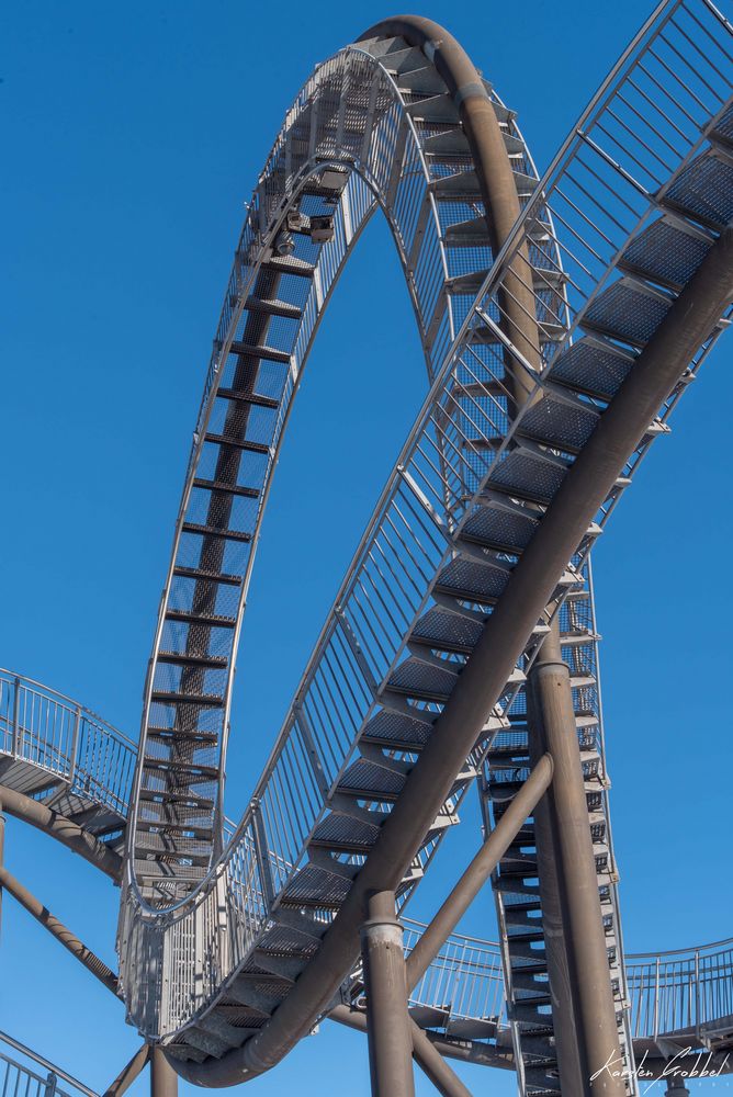 tiger and turtle