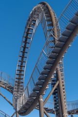 tiger and turtle