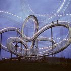 Tiger and Turtle