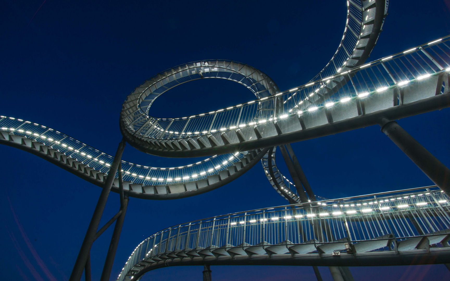 Tiger and Turtle