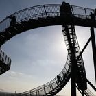 Tiger and turtle