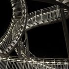 Tiger and Turtle 2