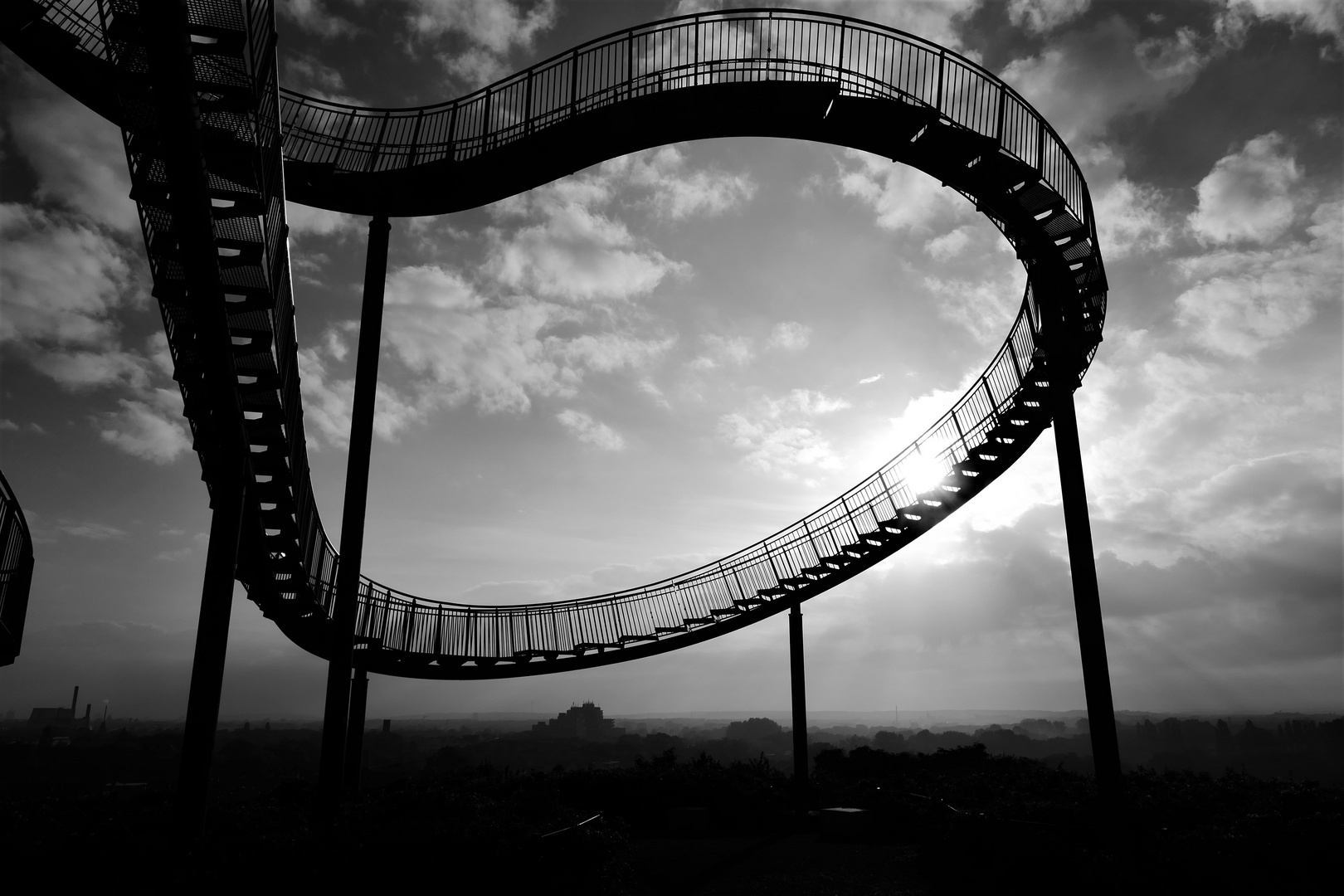 Tiger and Turtle 2