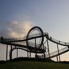 Tiger and Turtle 2