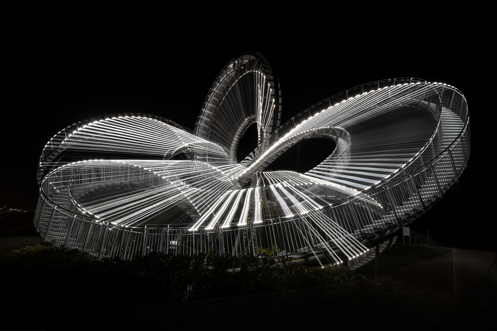 Tiger and Turtle 2