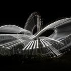 Tiger and Turtle 2