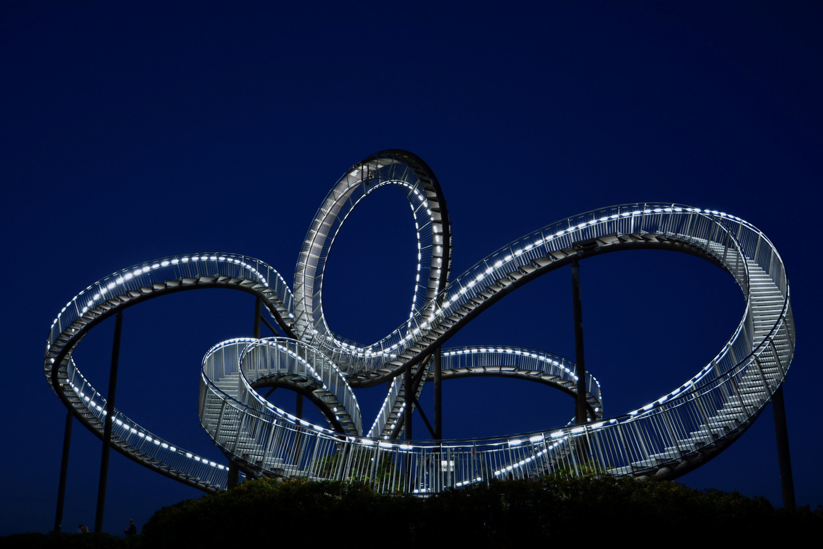tiger and turtle 2