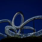 tiger and turtle 2