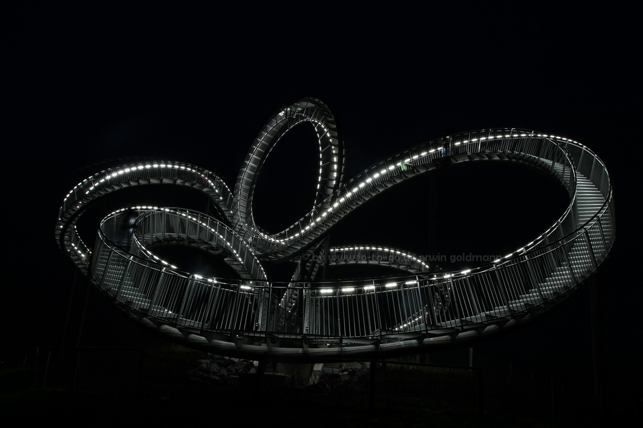 Tiger and Turtle 2