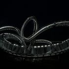 Tiger and Turtle 2