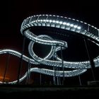 Tiger and Turtle 2