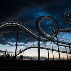 Tiger and Turtle - 2