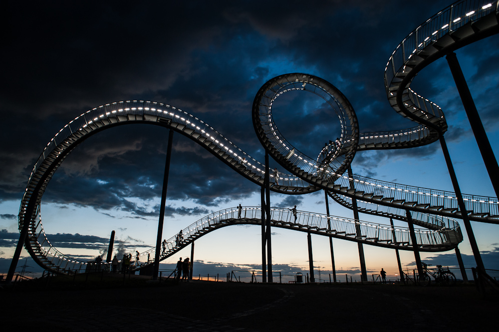 Tiger and Turtle - 2