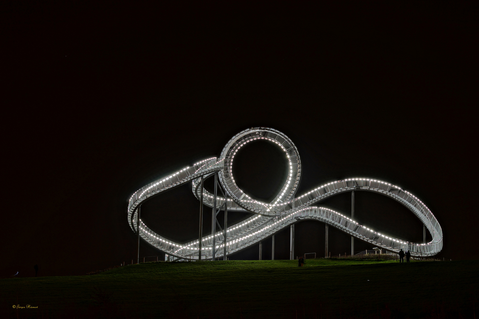 Tiger and Turtle 2