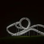 Tiger and Turtle 2