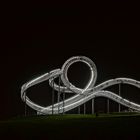 Tiger and Turtle 2