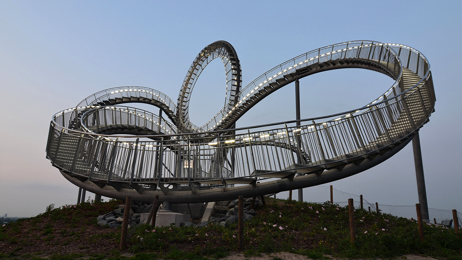 Tiger and turtle 2