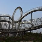 Tiger and turtle 2