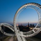 Tiger and Turtle (2)